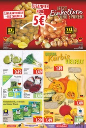 Kürbis im E center Prospekt in Falkensee Aktueller E center Prospekt mit Kürbis, "Aktuelle Angebote", Seite 5