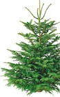 Sapin Nordmann en promo chez Colruyt Troyes à 23,95 €