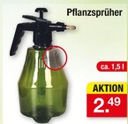 Pflanzensprüher im aktuellen Zimmermann Prospekt