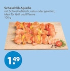 V-Markt Füssen - Schaschlik-Spieße Angebot im Prospekt Schaschlik-Spieße bei V-Markt im Füssen Prospekt für 1,49 €