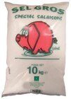 Rural Master Guichainville - Promo Sel de salaison Promo Sel de salaison à 4,90 € dans le catalogue Rural Master à Guichainville