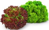 Bunte Salate Angebote bei REWE Ludwigshafen für 0,89 €
