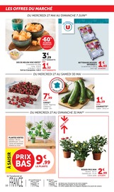 Promos Plantes dans le catalogue "U Express" de U Express Plantes en promo dans le catalogue U Express à la page 10