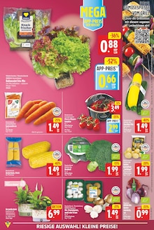 Kartoffeln im aktuellen E center Prospekt (Berlin) Kartoffeln im E center Prospekt "Aktuelle Angebote" mit 31 Seiten (Berlin)
