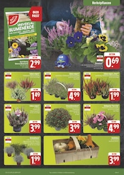 Ähnliche Gartenstühle Angebote im Prospekt "Wir lieben Lebensmittel!" von E center in Suhl Ähnliche Angebote wie Gartenstühle im Prospekt "Wir lieben Lebensmittel!" auf Seite 3 von E center in Suhl