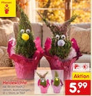 Heidewichtel im Angebot bei Netto Marken-Discount in Hamm Heidewichtel Angebote bei Netto Marken-Discount Hamm für 5,99 €