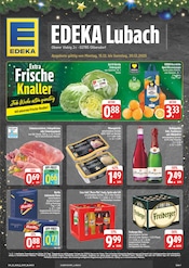 EDEKA Supermarkt Prospekt der aktuellen Woche mit 28 Seiten, gültig von 15.12.2025 bis 20.12.2025, in Zittau und Umgebung Aktueller EDEKA Supermarkt Prospekt in Zittau und Umgebung, "Wir lieben Lebensmittel!" mit 28 Seiten, 15.12.2025 - 20.12.2025