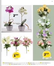 Promos Orchidée dans le catalogue "HALLOWEEN MÊME PAS PEUR !" de Gifi Orchidée en promo dans le catalogue Gifi à la page 21