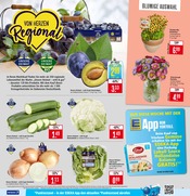 Aktueller Marktkauf Prospekt mit Pflanzen, "Aktuelle Angebote", Seite 5