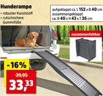 Hunderampe im Angebot bei Thomas Philipps in Lippstadt Hunderampe Angebote bei Thomas Philipps Lippstadt für 33,33 €