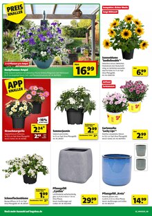 Aktueller Hagebaumarkt Prospekt "FREU DICH AUF DEINE VOLLE LADUNG GARTEN" Aktueller Hagebaumarkt Prospekt