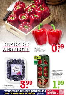 Paprika im E center Prospekt "Aktuelle Angebote" mit 50 Seiten (Ludwigshafen (Rhein))