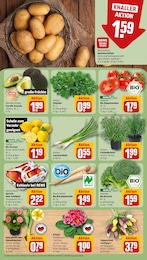 Tomaten im REWE Prospekt "Dein Markt" auf Seite 9