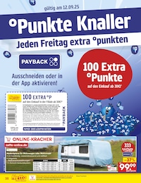 Abdeckplane Angebot im aktuellen Netto Marken-Discount Prospekt auf Seite 53
