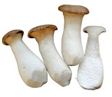 Bio Kräuterseitlinge im Angebot bei REWE in Recklinghausen Bio Kräuterseitlinge Angebote von REWE Bio bei REWE Recklinghausen für 1,99 €