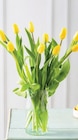 Bouquet de 9 tulipes de glace - U en promo chez Super U Valence à 5,99 €
