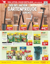 Aktueller Netto Marken-Discount Prospekt mit Blumenzwiebeln, "Aktuelle Angebote", Seite 35