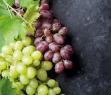 Agathe Angebote von Haton & Filles bei REWE Hürth für 29,99 €