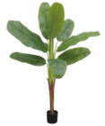 Bananier 9 feuilles H.160cm dans le catalogue Maxi Bazar