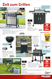 Gasgrill Angebote im Prospekt "Bunte Blumenvielfalt" von Hellweg auf Seite 5