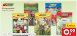 Blumenzwiebel Tulpen von Garten Magic für 0,99 € bei Netto Marken-Discount im Angebot Blumenzwiebel Tulpen von Garten Magic im aktuellen Netto Marken-Discount Prospekt