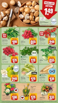 Pflanzen im REWE Prospekt "Dein Markt" mit 20 Seiten (Nürnberg)