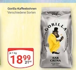 Gorilla Kaffeebohnen Angebote bei GLOBUS Rostock für 18,99 €