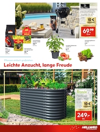 Holzkohle Angebot im aktuellen Hellweg Prospekt auf Seite 9