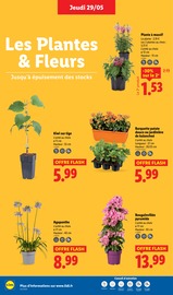 Jardinière Angebote im Prospekt "Coup d'envoi sur les promos !" von Lidl Jardinière Angebote im Prospekt "Coup d'envoi sur les promos !" von Lidl auf Seite 32