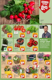 Ähnliche Angebote wie Rasendünger im Prospekt "Dein Markt" auf Seite 7 von REWE in Frankfurt