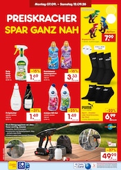 Ähnliche Abendmode Angebote im Prospekt "Aktuelle Angebote" von Netto Marken-Discount in St. Ingbert Ähnliche Angebote wie Abendmode im Prospekt "Aktuelle Angebote" auf Seite 43 von Netto Marken-Discount in St. Ingbert
