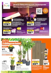 Palme im OBI Prospekt in Langenhagen Aktueller OBI Prospekt mit Palme, "BIBERSTARKE ANGEBOTE", Seite 13