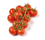 Cherry-Rispen-tomaten von GO Regio für 1,79 € bei Netto mit dem Scottie im Angebot Cherry-Rispen-tomaten von GO Regio im aktuellen Netto mit dem Scottie Prospekt