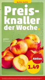 Stauden im Penny Prospekt in Neumünster Aktueller Penny Prospekt mit Stauden, "Wer günstig will, muss Penny.", Seite 30