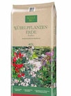 Pflanzen Kölle Teltow - Kübelpflanzen-Erde – Torffrei Angebot im Prospekt Kübelpflanzen-Erde – Torffrei bei Pflanzen Kölle im Teltow Prospekt für 11,99 €