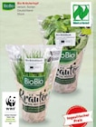 Bio Kräutertopf von BioBio im aktuellen Netto Marken-Discount Prospekt