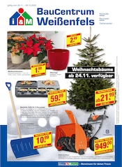 Aktueller i&M BauCentrum Baumärkte Prospekt in Langendorf und Umgebung, "Es WEIHNACHTET bei i&M" mit 8 Seiten, 29.11.2025 - 06.12.2025
