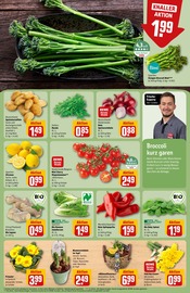 Pflanzen im REWE Prospekt in Hildesheim Aktueller REWE Prospekt mit Pflanzen, "Dein Markt", Seite 7