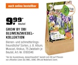 Blumenzwiebel-Kollektion von Grow by OBI für 9,99 € bei OBI im Angebot Blumenzwiebel-Kollektion von Grow by OBI im aktuellen OBI Prospekt