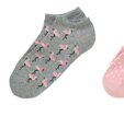Ernstings family Kassel - Sneaker-Socken, 3 Paar Sneaker-Socken, 3 Paar Angebot bei Ernstings family Kassel im Prospekt "Family Tag"