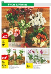 Offre Bricolage et Jardin dans le catalogue Carrefour Market du moment à la page 42