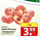 wilde Pfirsiche bei famila Nordost im Prospekt "" für 3,99 €
