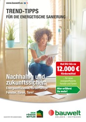 Aktueller Delmes Bauwelt Baumärkte Prospekt in Kankelau und Umgebung, "Trend-Tipps für die energetische Sanierung" mit 11 Seiten, 12.09.2025 - 21.09.2025