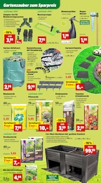 Blumenerde Angebot & Preis im aktuellen Thomas Philipps Prospekt Blumenerde Angebot im aktuellen Thomas Philipps Prospekt auf Seite 3