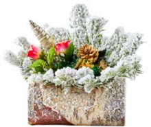 Réveillon De Noël dans le catalogue Colruyt Composition bûche givrée à 13,95 € en promo chez Colruyt