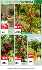 Promos Citronnier dans le catalogue "JARDIN LÀ OÙ LA VIE SE CULTIVE" de Carrefour Market à la page 4 Promos Citronnier dans le catalogue "JARDIN LÀ OÙ LA VIE SE CULTIVE" de Carrefour Market à la page 4