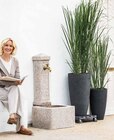 Aktuelle Smartphone Angebote bei Dehner Garten-Center in Hagen (Stadt der FernUniversität) Aktuelles ZWERG-CHINASCHILF 'STRICTUS DWARF' Angebot bei Dehner Garten-Center in Hagen (Stadt der FernUniversität) ab 9,99 €