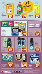 Staubwedel Angebot & Preis im aktuellen REWE Prospekt Staubwedel Angebot im aktuellen REWE Prospekt auf Seite 20