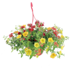 Promo Suspension mixte fleurie à 14,95 € dans le catalogue LaMaison.fr à Saint-Pierre-des-Ifs
