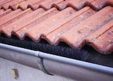 Dachrinnenraupe bei Carl Bremer GmbH & Co. KG im Eutin Prospekt für 4,99 €